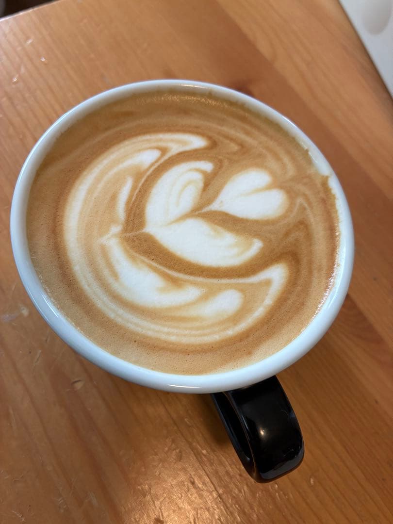 【7万円カスタム付】La Pavoni Professional (過熱対策済)