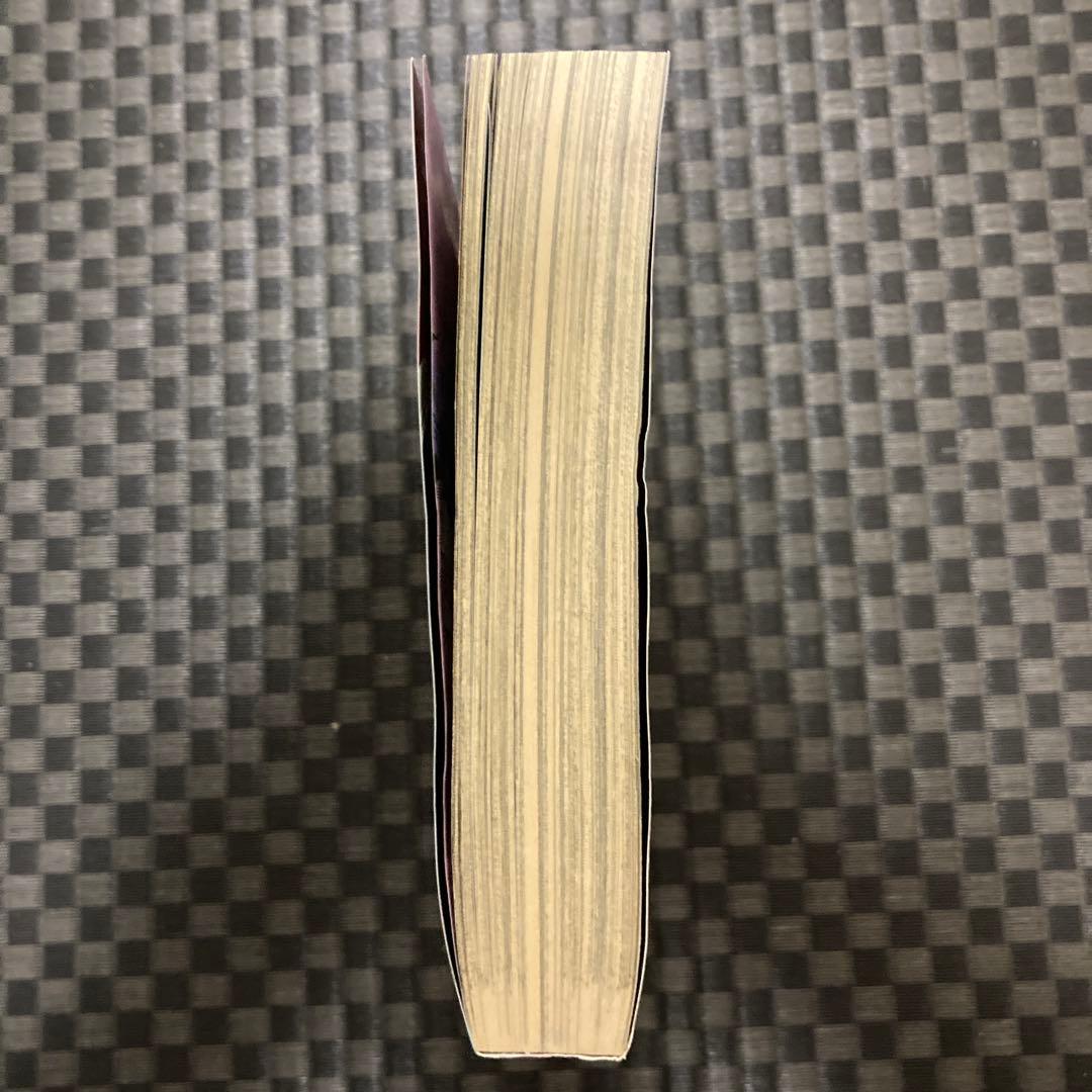 ウルトラジャンプ 2011年5月号　ＳＢＲ最終回掲載　付録なし