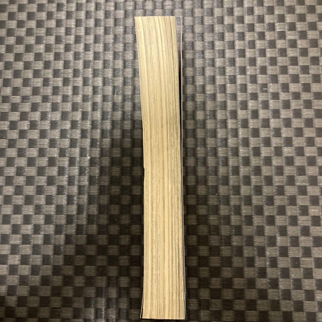 ウルトラジャンプ 2011年5月号　ＳＢＲ最終回掲載　付録なし