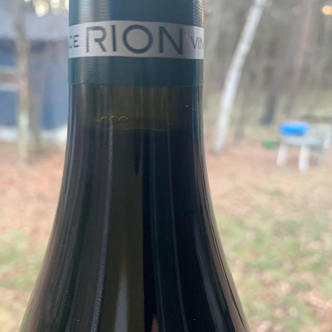 パトリスリオン　ニュイサンジョルジュ クロ デ　アルジリエール