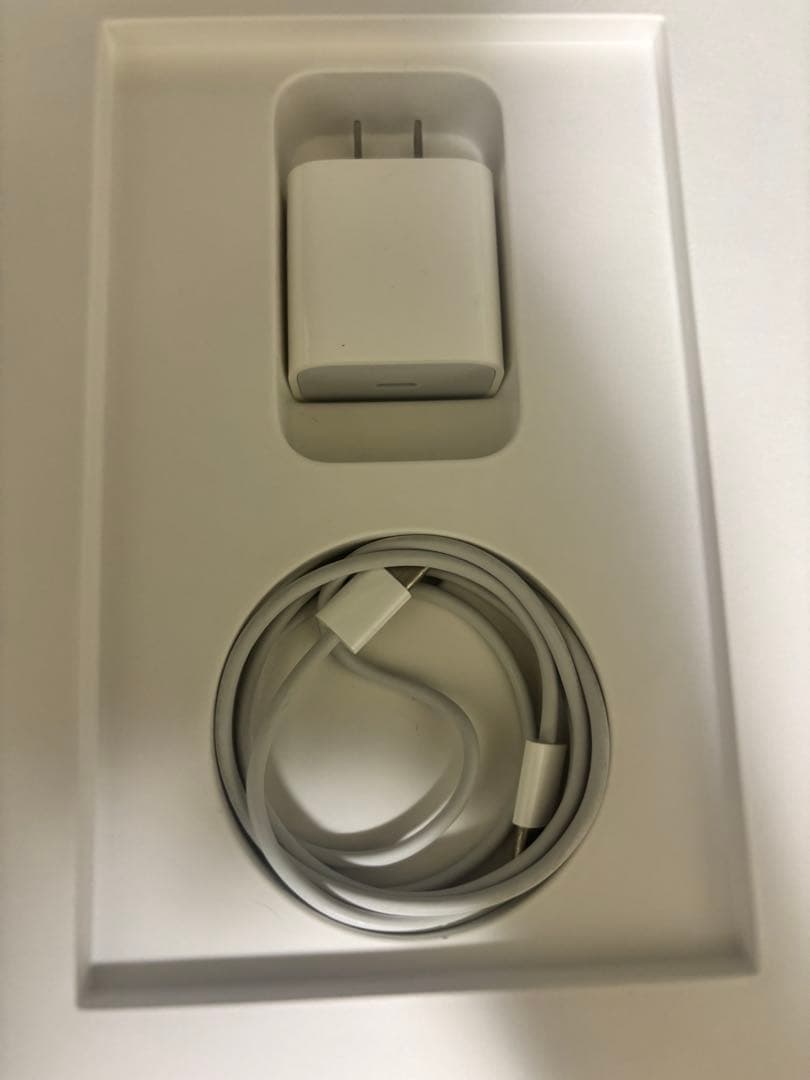 iPad本体 iPad Air5 Wi-Fi 64GB +Apple Pencil2