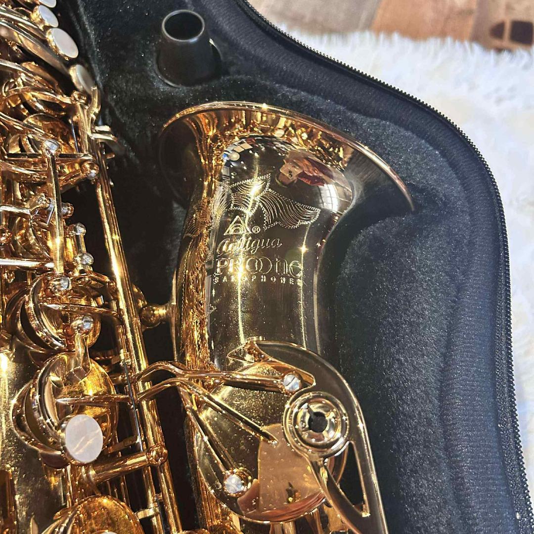 Antigua ProOne AS6200 アルトサックス