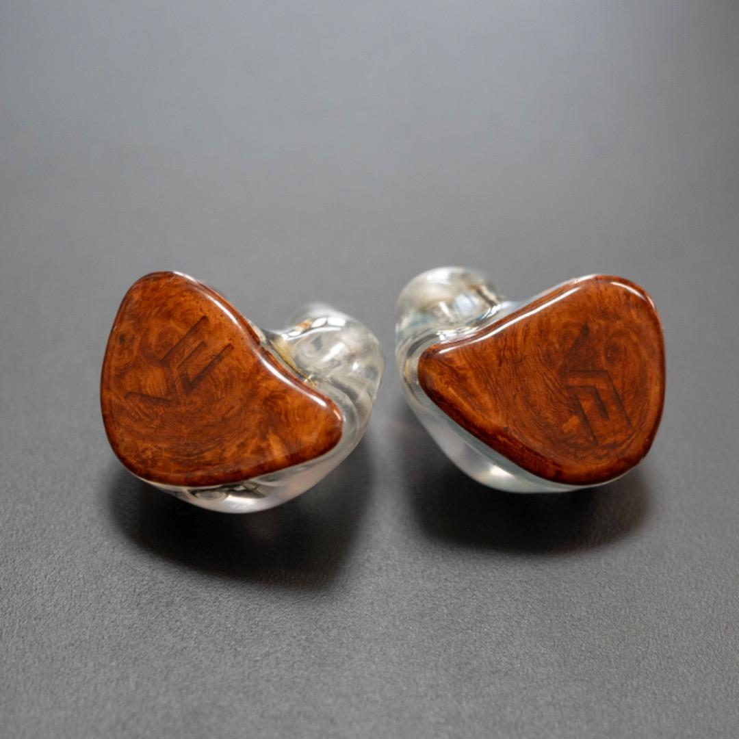 VISION EARS VE6 X2 カスタム IEM