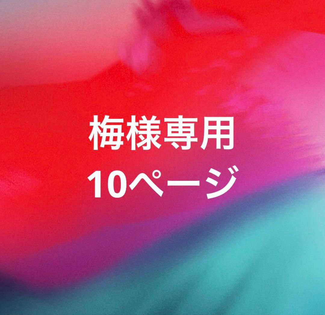 梅10ぺージ