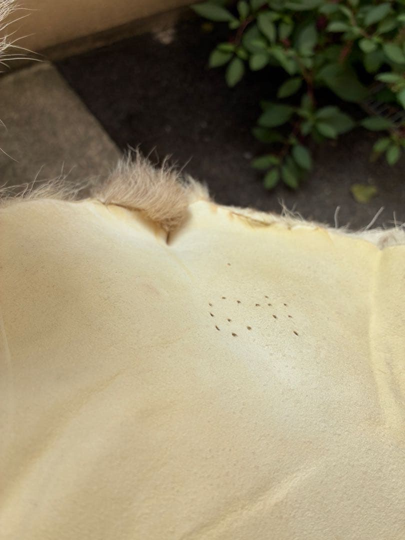 トナカイ　毛皮　敷物　ラグ　北欧　インテリア　ブッシュクラフト　キャンプ