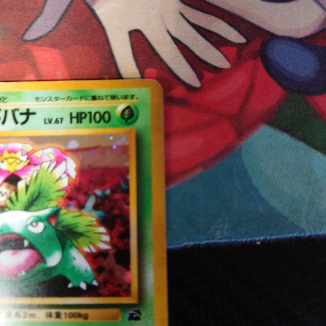 フシギバナ とりかえっこプリーズ マークなし