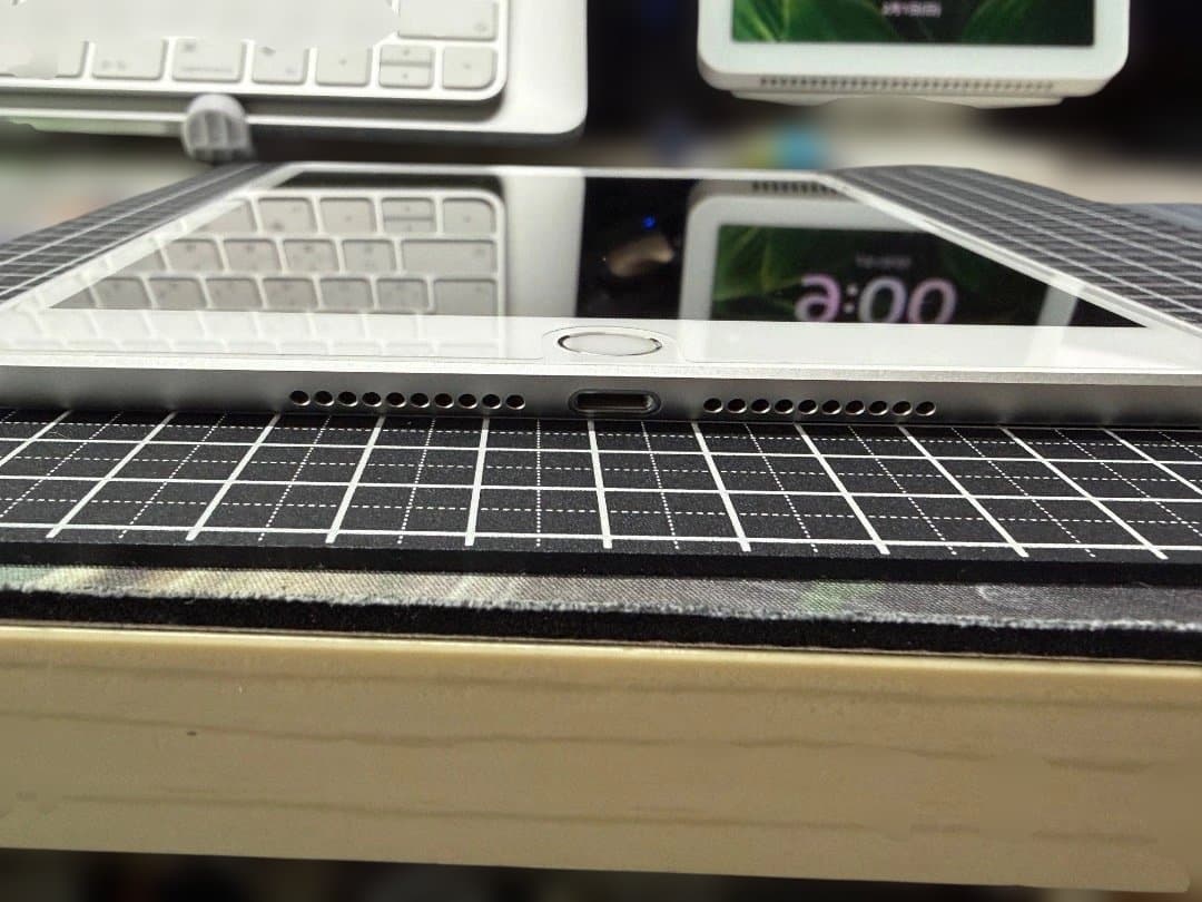 iPad mini 第5世代 シルバー 64GB セルラー おまけ付き