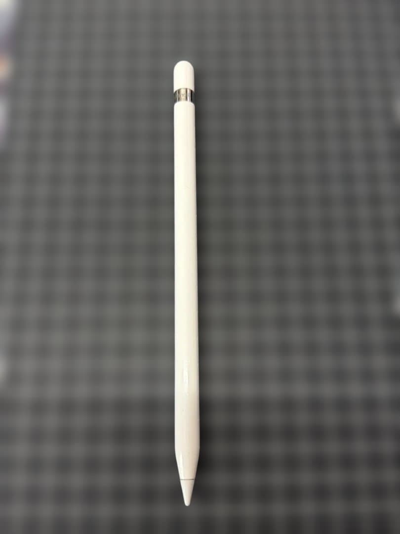 iPad mini 第5世代 シルバー 64GB セルラー おまけ付き