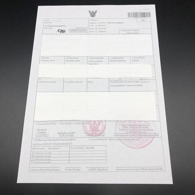 フォロー割適用　本物クロコ・パール・一枚革　シャムクロコダイル　ダブル　長財布2