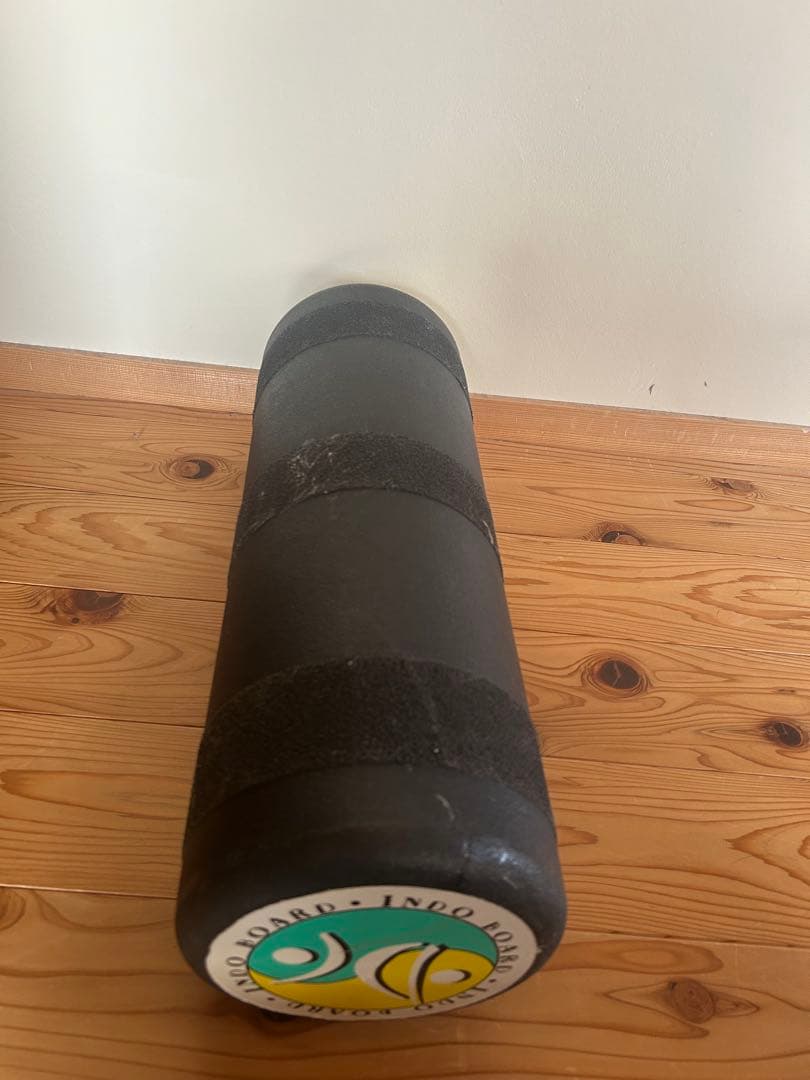 INDO BOARD 『インドゥボード』バランスボード