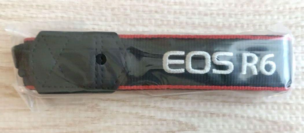 CANON EOS R6 RF24-105 IS STM レンズキット+おまけ