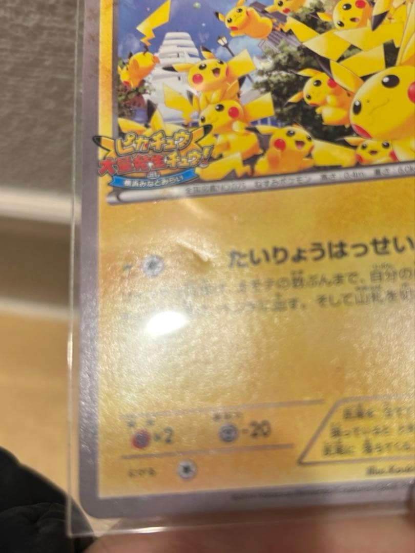 ポケモンカード ピカチュウたいりょうはっせい!? 070/XY-P