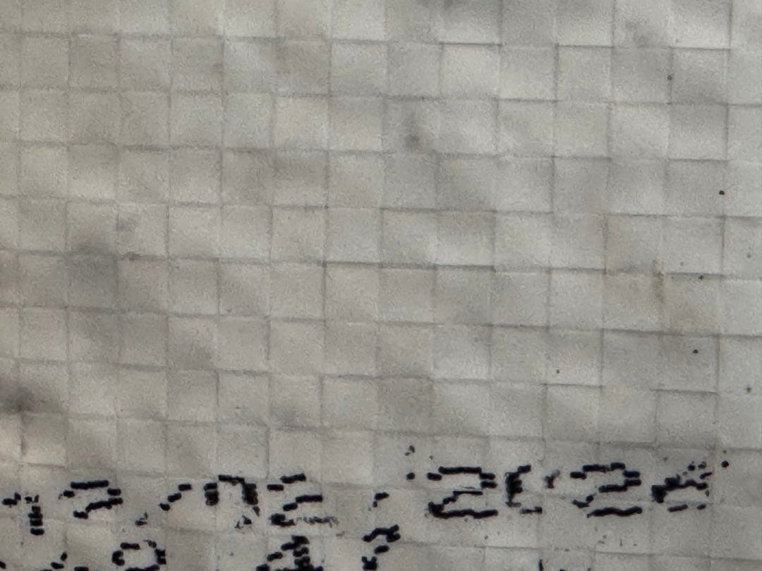 ☆きんちゃん☆