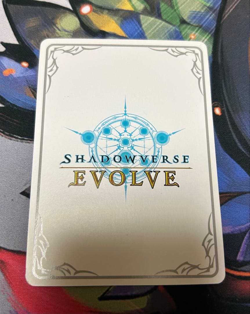 第五の絶傑・ガルミーユ　リーダー