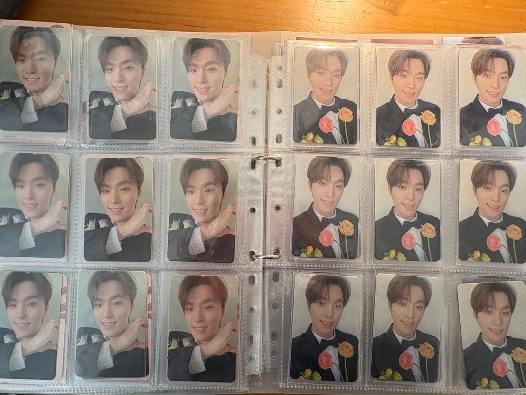 セブチ　ディノ　トレカ　まとめ売り