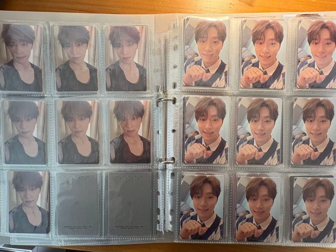 セブチ　ディノ　トレカ　まとめ売り