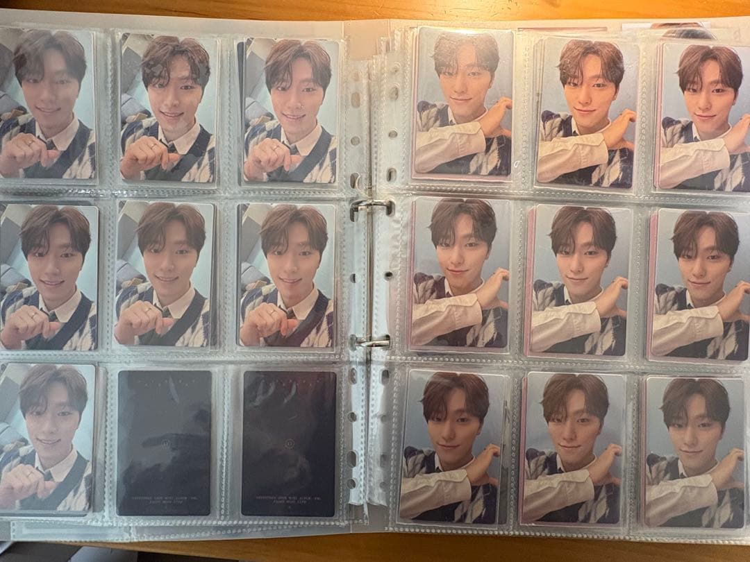 セブチ　ディノ　トレカ　まとめ売り