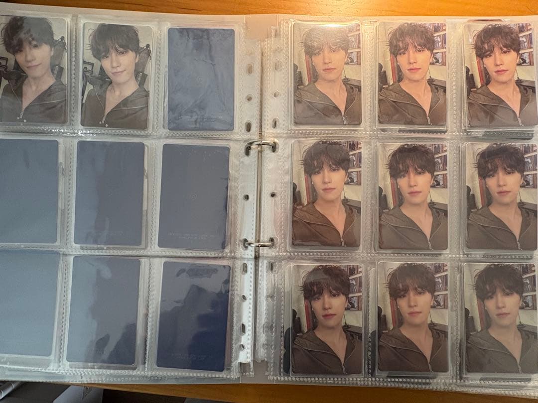 セブチ　ディノ　トレカ　まとめ売り