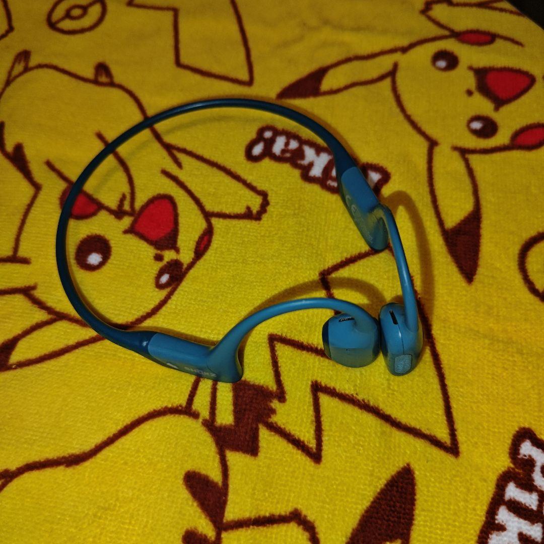 Shokz OpenRun Pro S810 ブルー