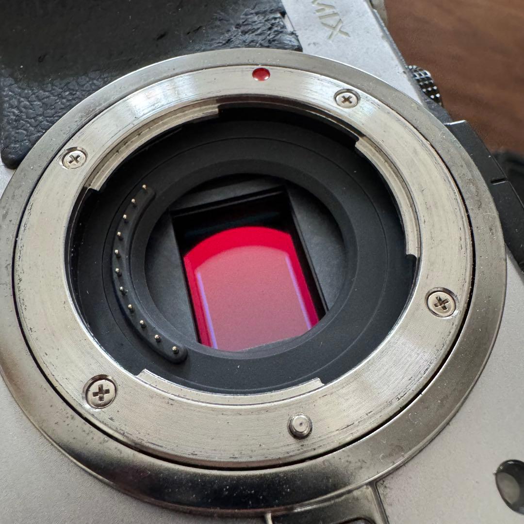 Panasonic LUMIX DMC-GX1 ボディ