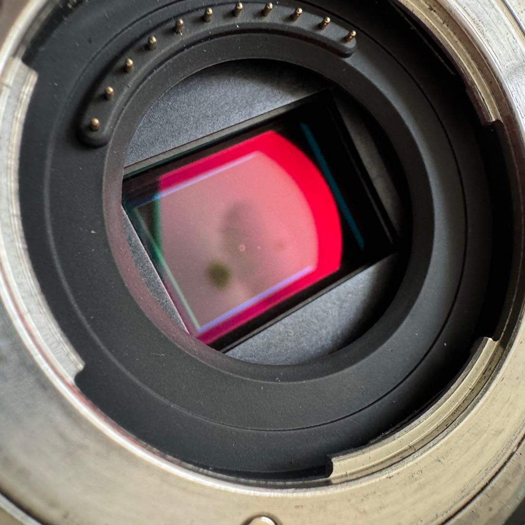 Panasonic LUMIX DMC-GX1 ボディ