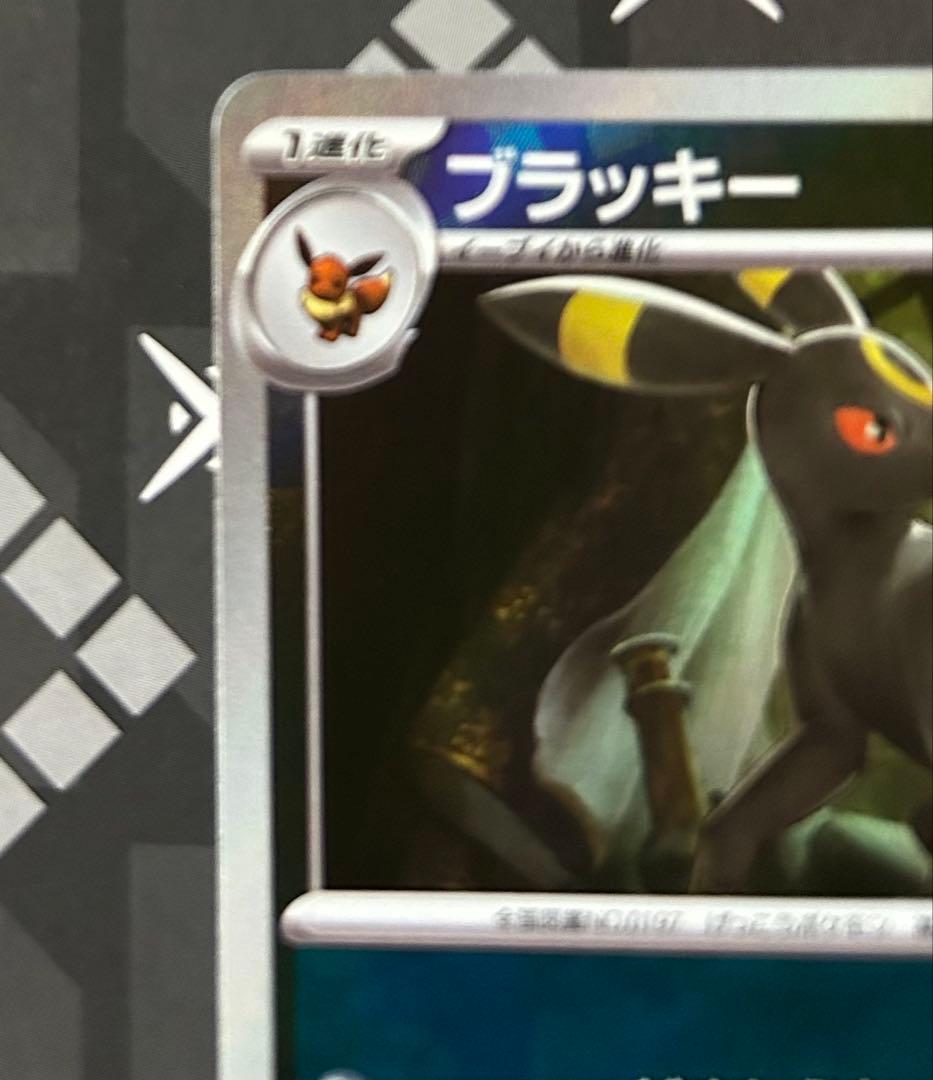 フ*ク様 ブラッキー マスターボールミラー