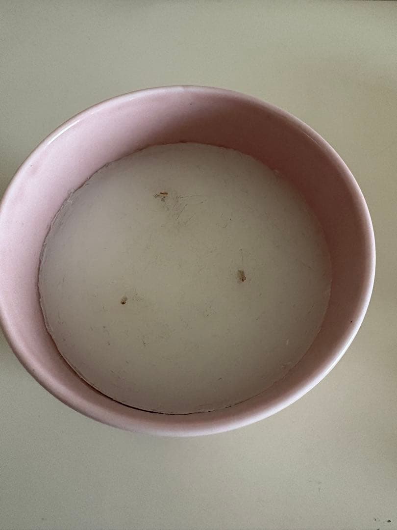 【diptyque】 ROSEキャンドル 600gラージサイズ　ピンク