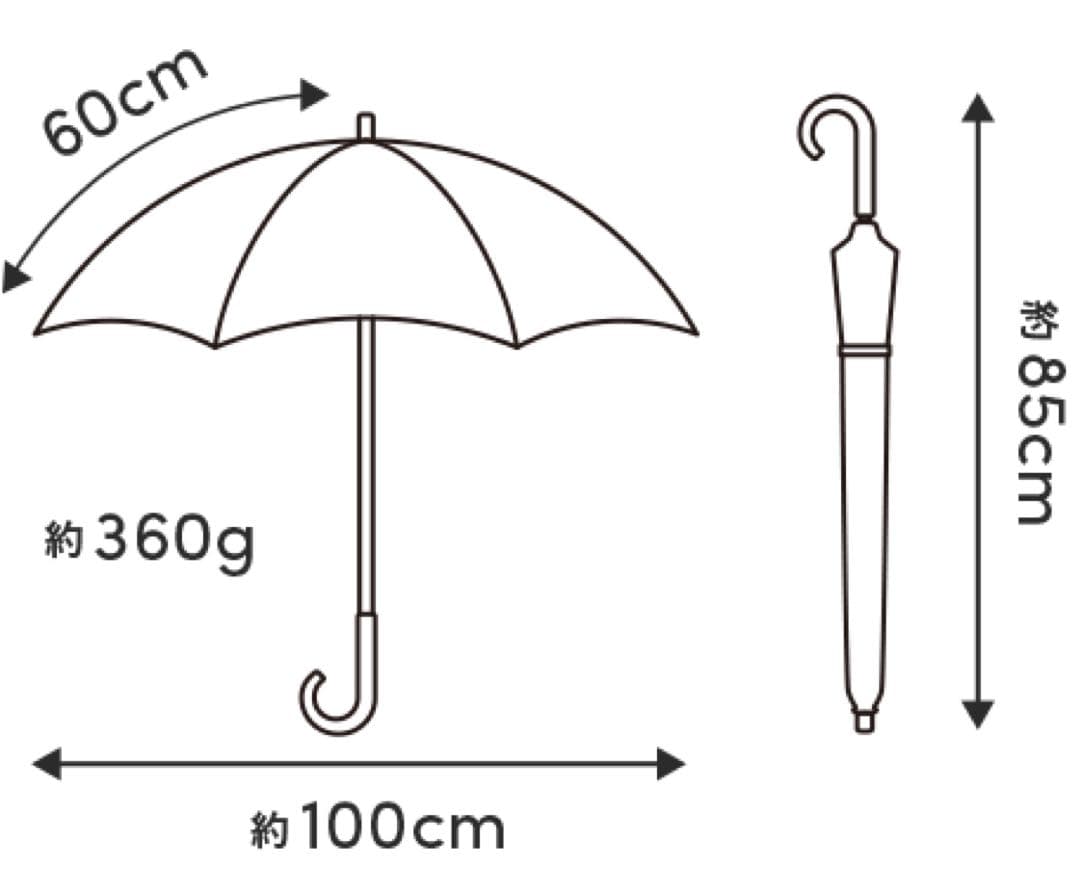 サンバリア100 日傘　完全遮光　 Lサイズ フロスト