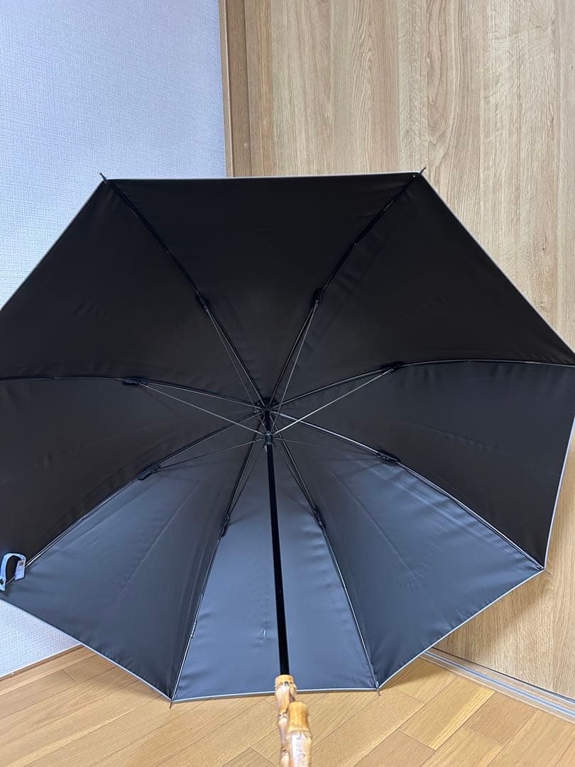 サンバリア100 日傘　完全遮光　 Lサイズ フロスト