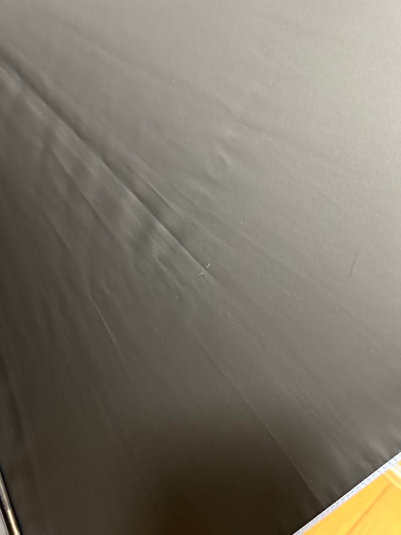 サンバリア100 日傘　完全遮光　 Lサイズ フロスト