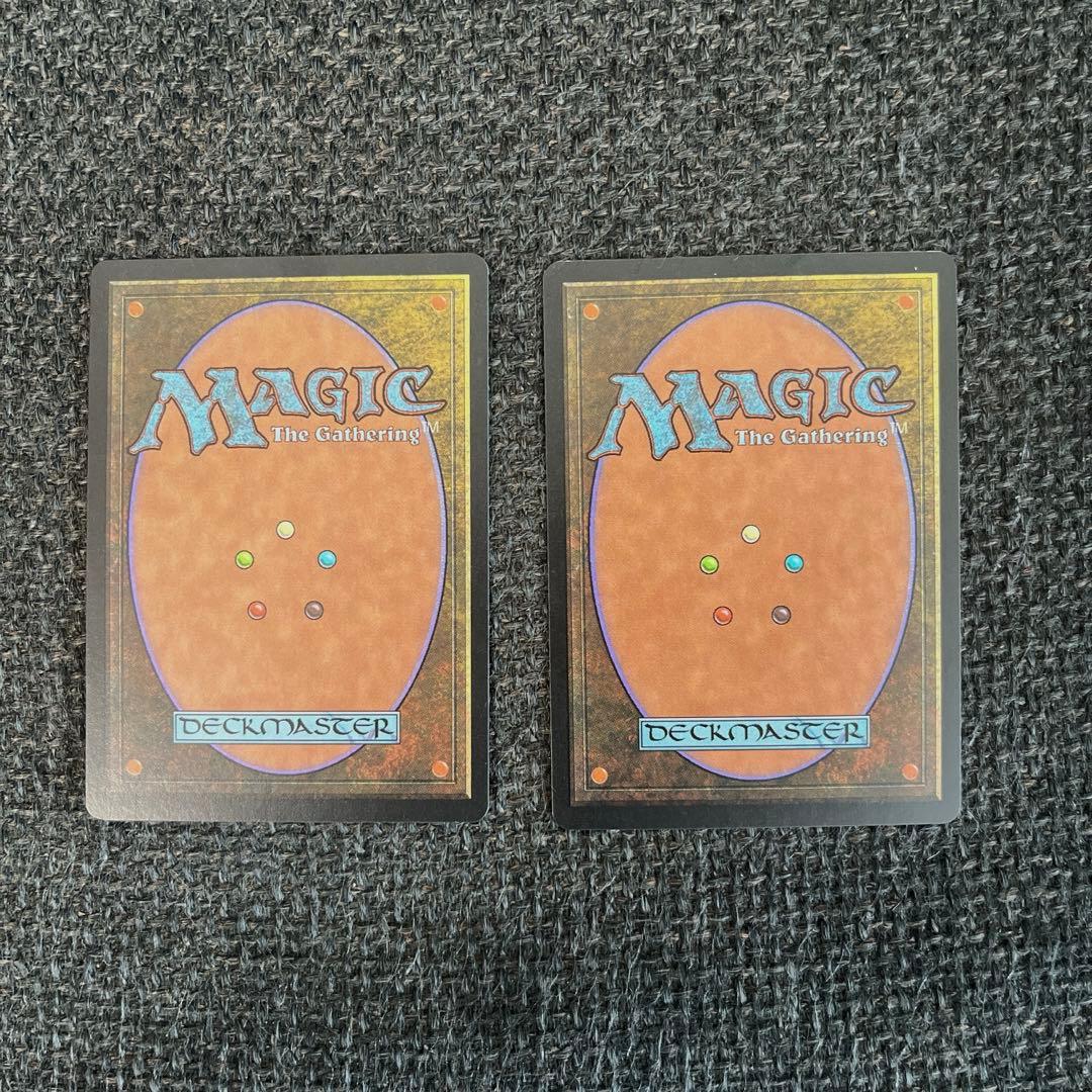 MTG 実物提示教育 Show and Tell 英語