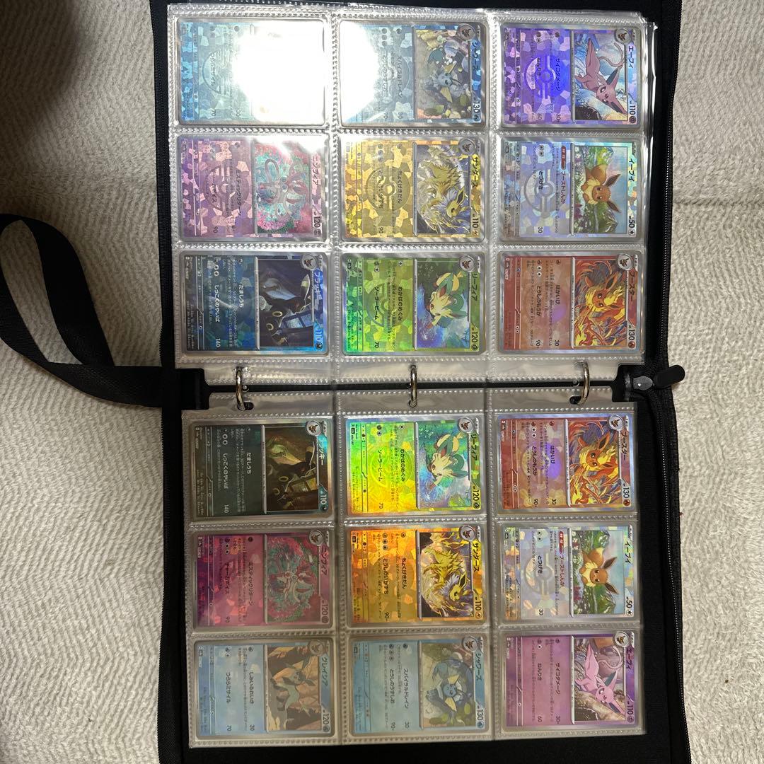 支払いできる方のみ購入お願いします。高騰中　ポケモンカード　引退品　　計３３３枚