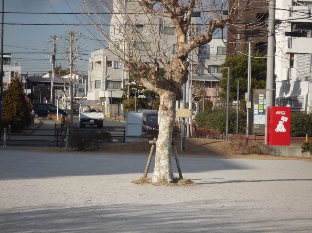 実写美⭕️【動作確認済】パナソニック デジカメ LUMIX DMC-FX35