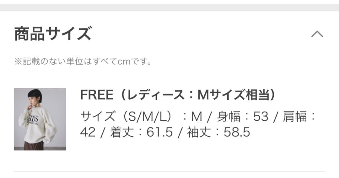 アダムエロペ　チャンピオングレー ロゴ入り スウェット トレーナー