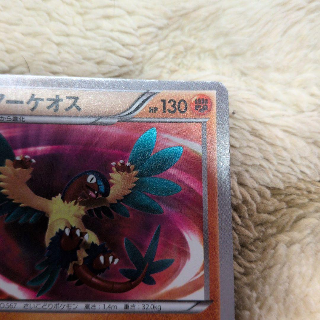 アーケオス ur 075/069 bw