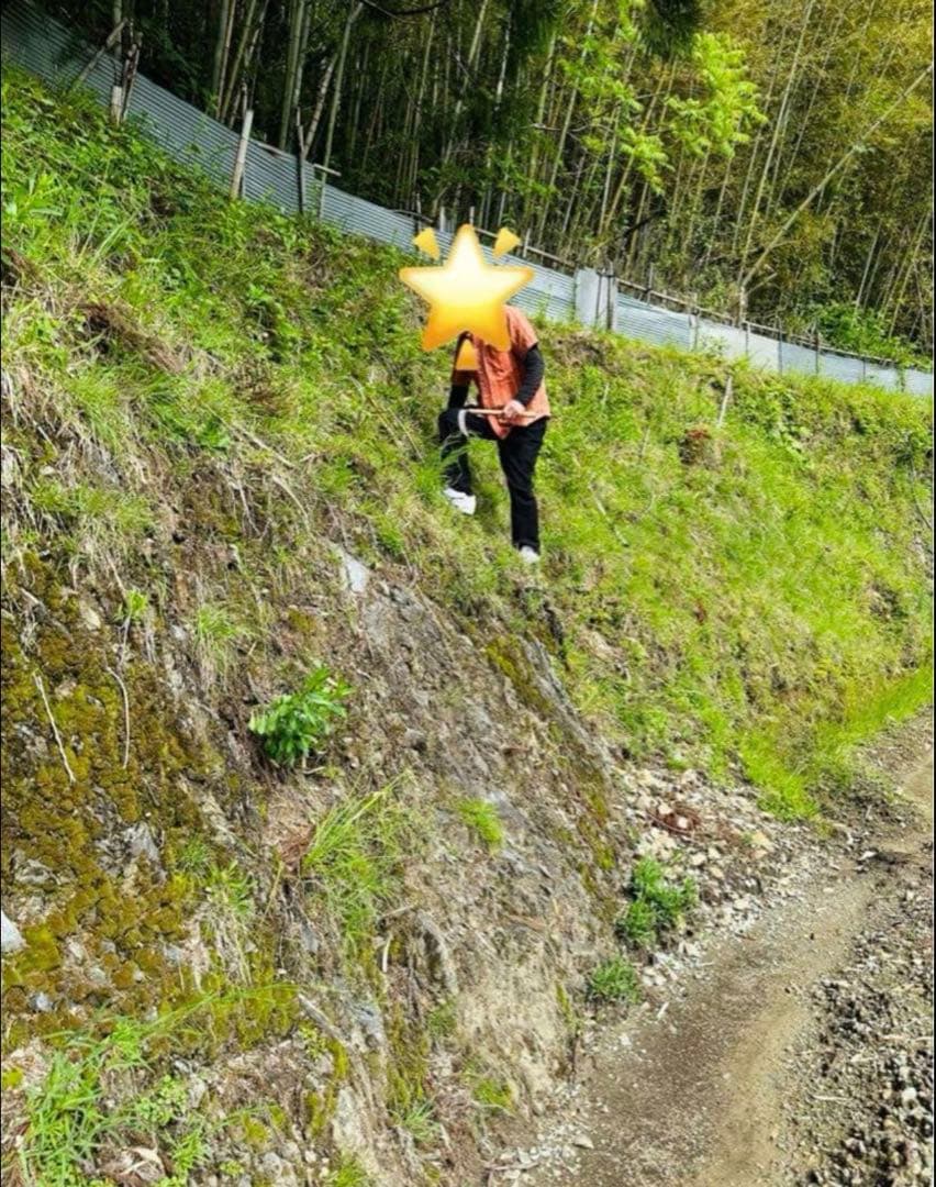 【農薬不使用】新生姜 【露地栽培】24時間以内発送 掘りたて 生姜 無農薬