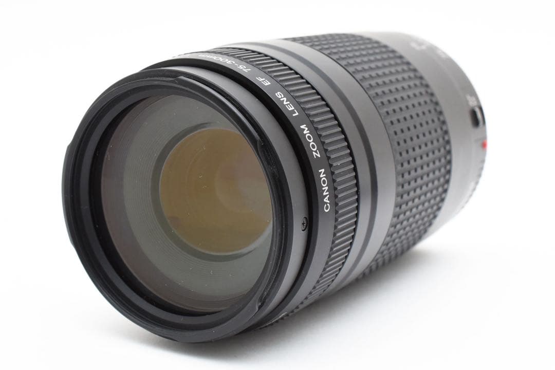 Canon EF 28-80 Canon EF 75-300 （2セット）