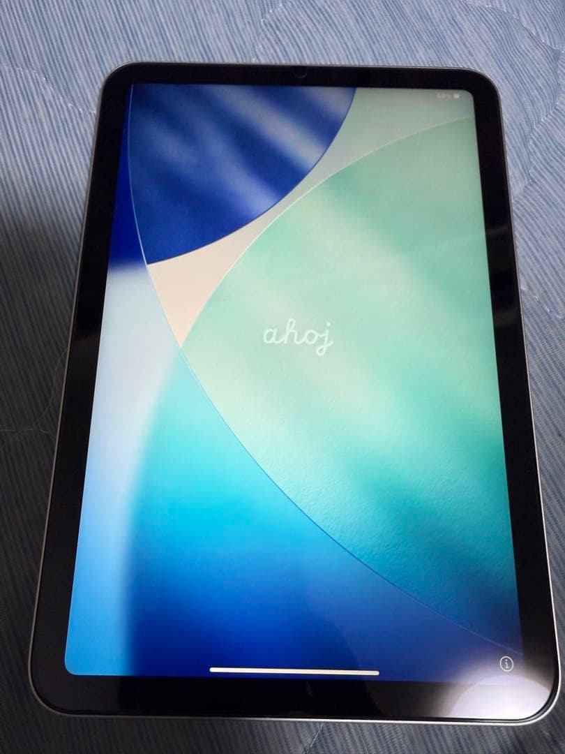 iPad mini 第6世代 256GB Apple Pencil 純正ケース付