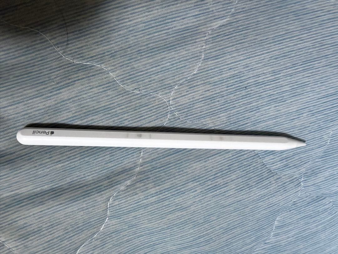 iPad mini 第6世代 256GB Apple Pencil 純正ケース付