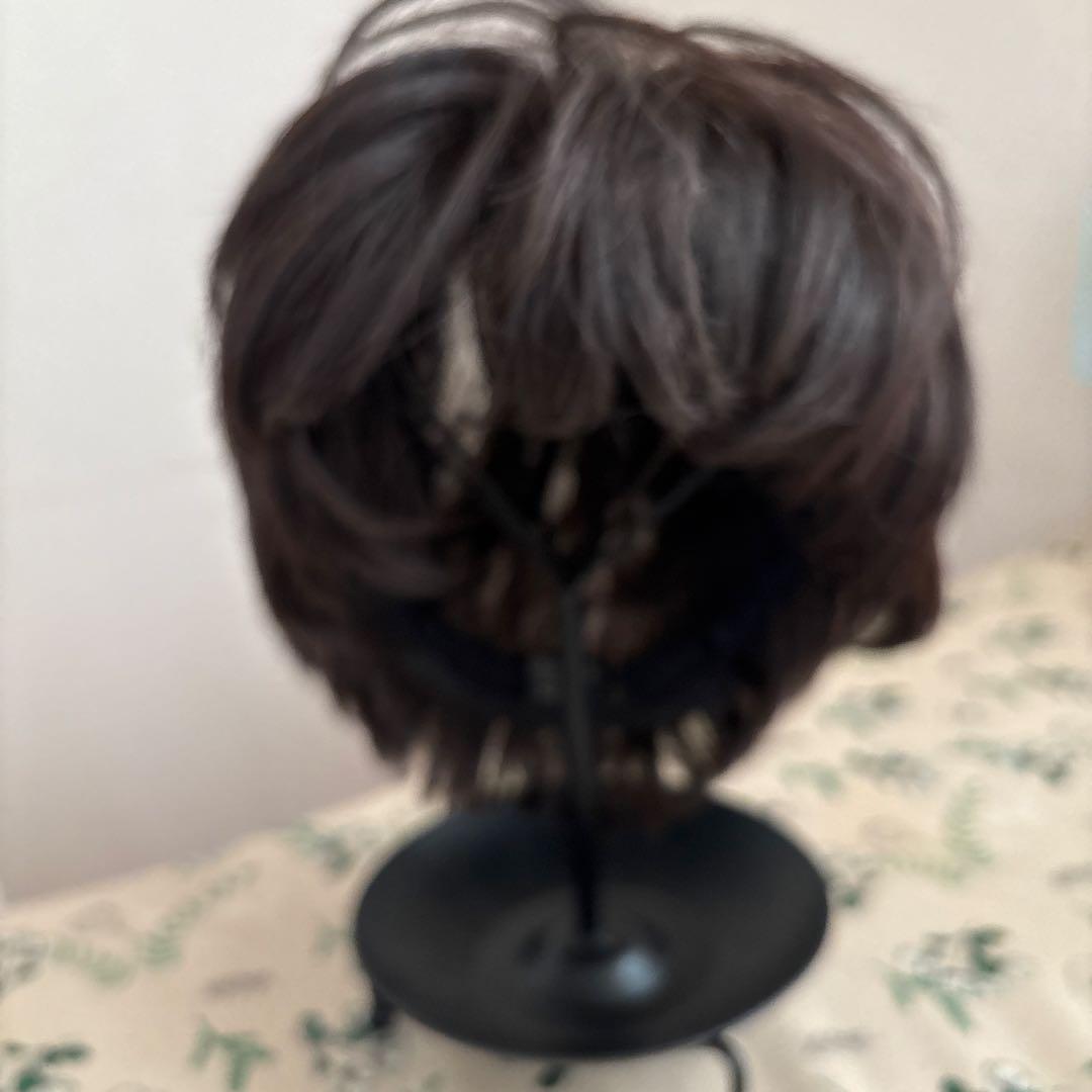 ウィッグ