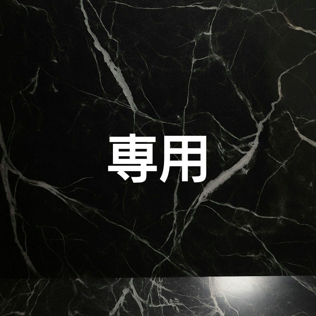 【PSA10】メガリザードンXex SAR #67