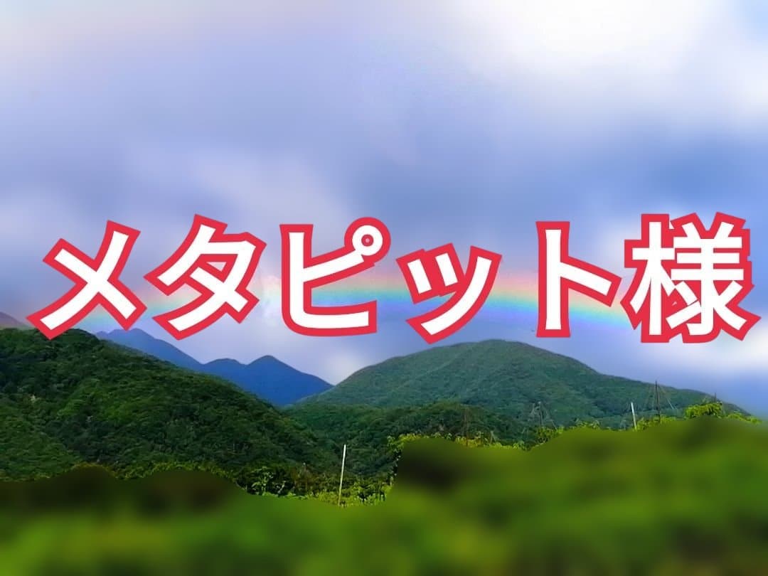 メタピット様　山梨県産　枯露柿・干し柿用　渋柿　甲州百目柿　20kg