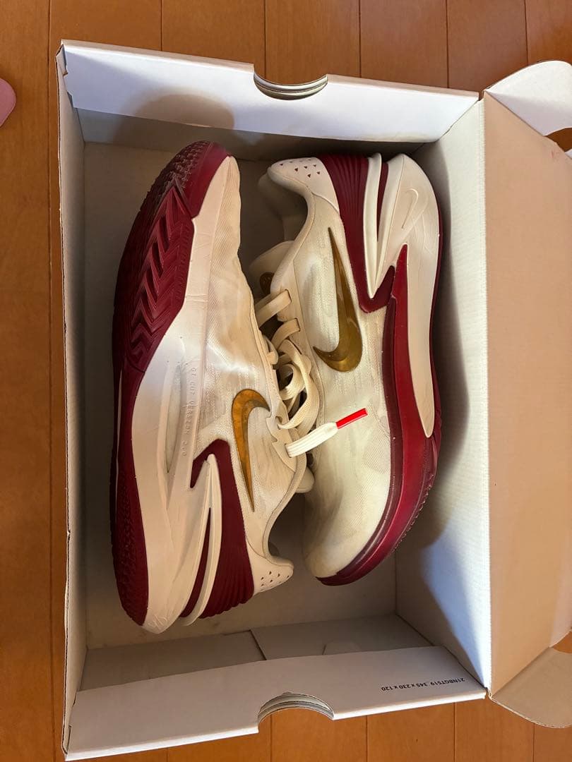 Nike g.t. cut 2 ナイキGTカット2