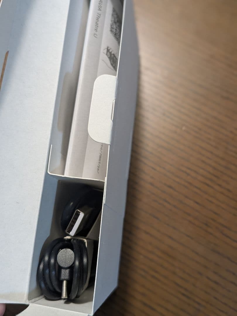 SONY BRAVIA Theatre U ネックスピーカー