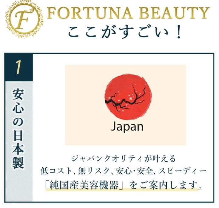 【特別値下げ価格】1台限定EMSLED美容機器PL保険 施術通い不要になります‼️