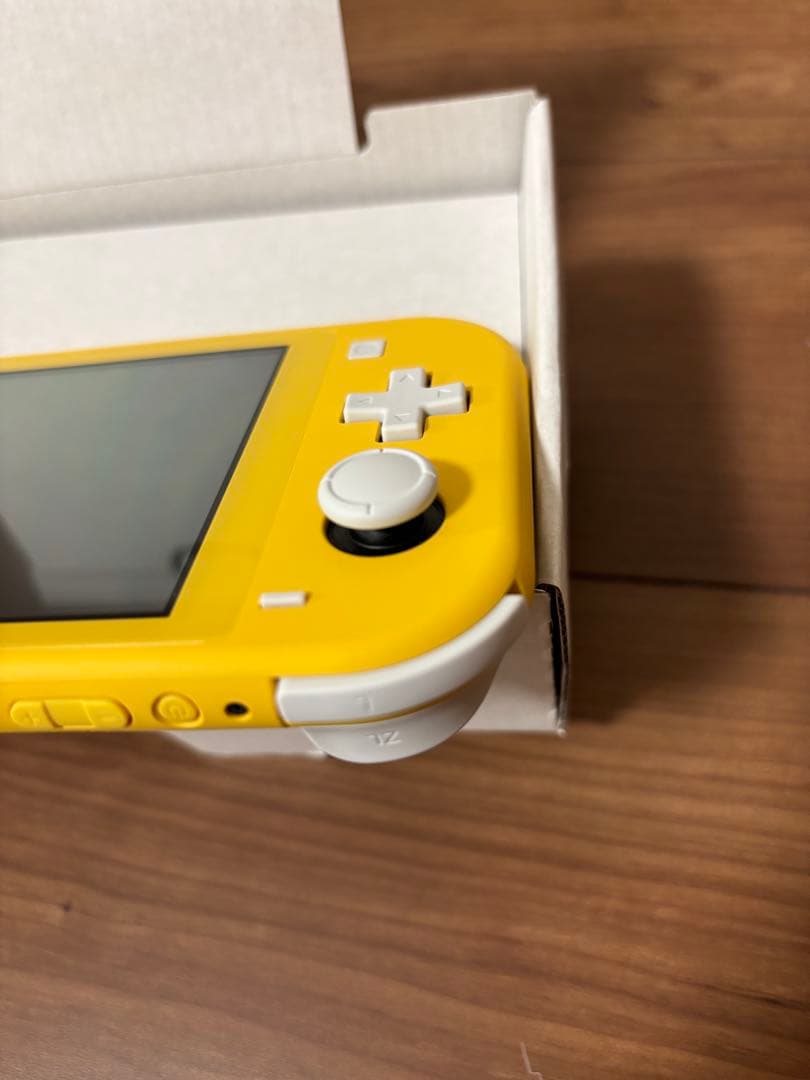 その他 Nintendo switch lite