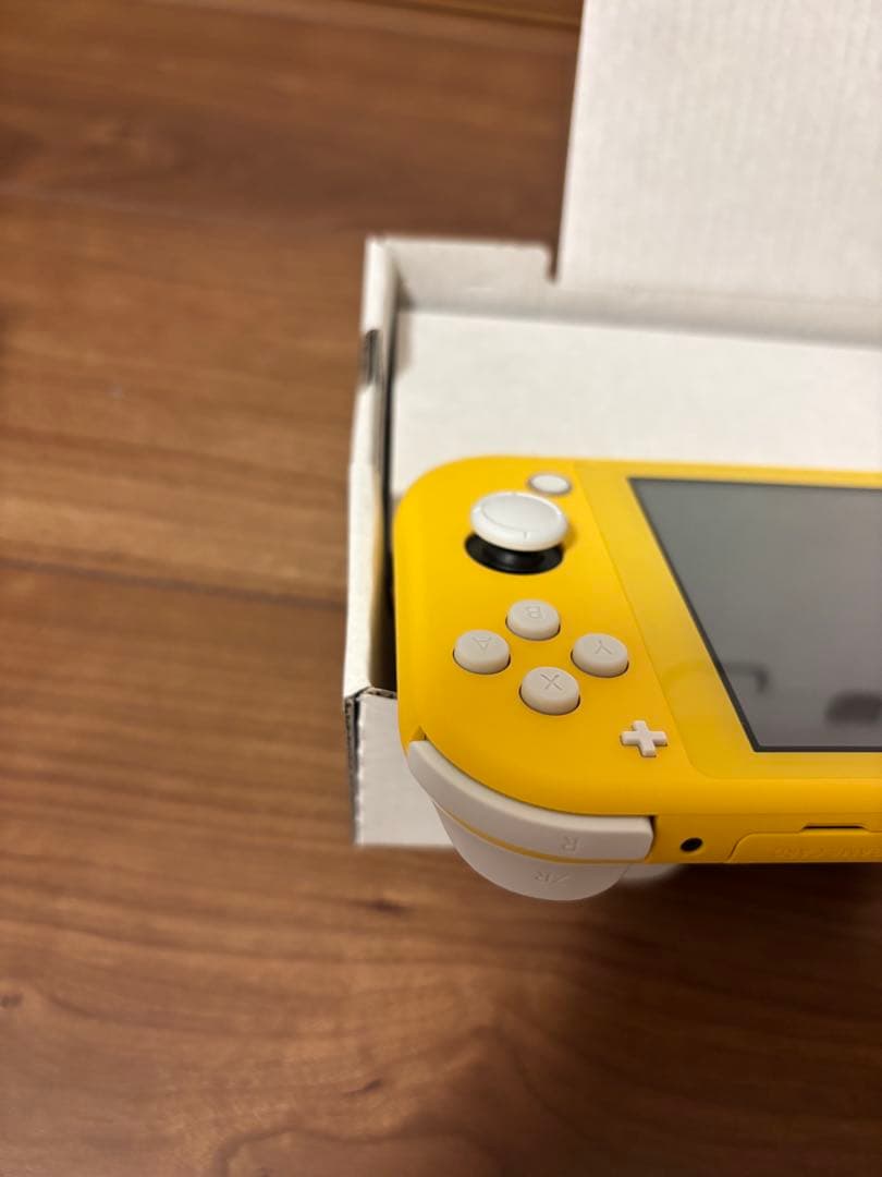 その他 Nintendo switch lite