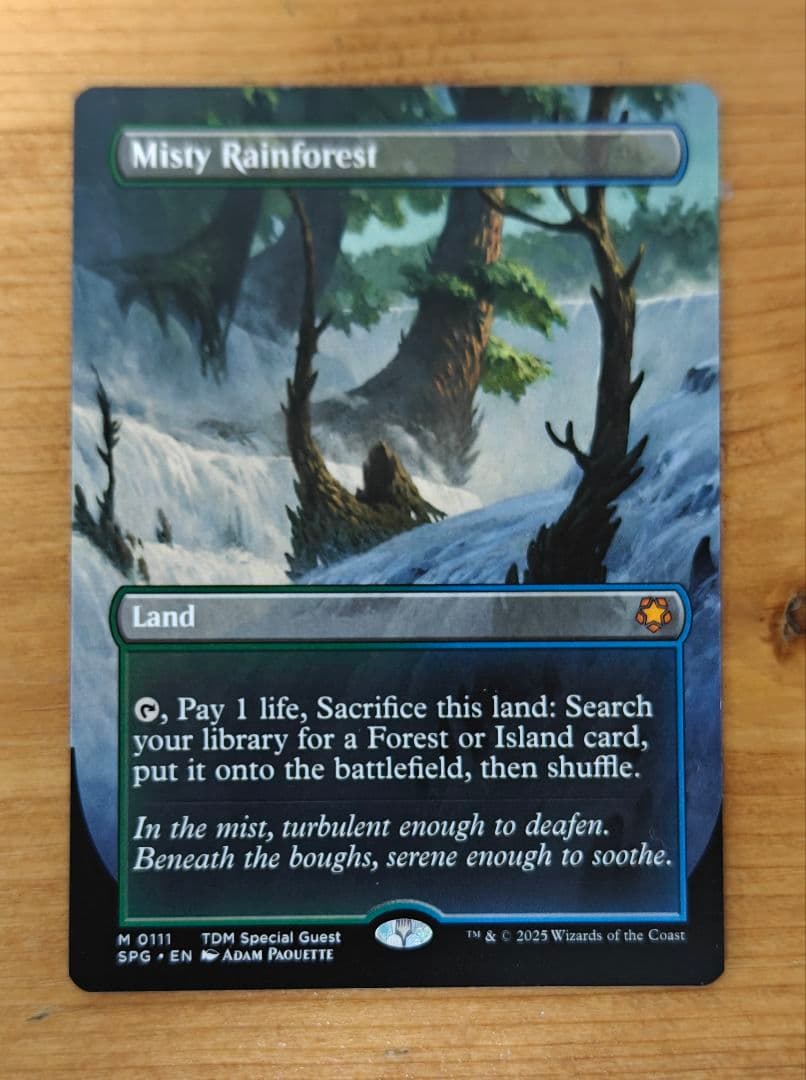 MTG Misty Rainforest 霧深い雨林 SPG