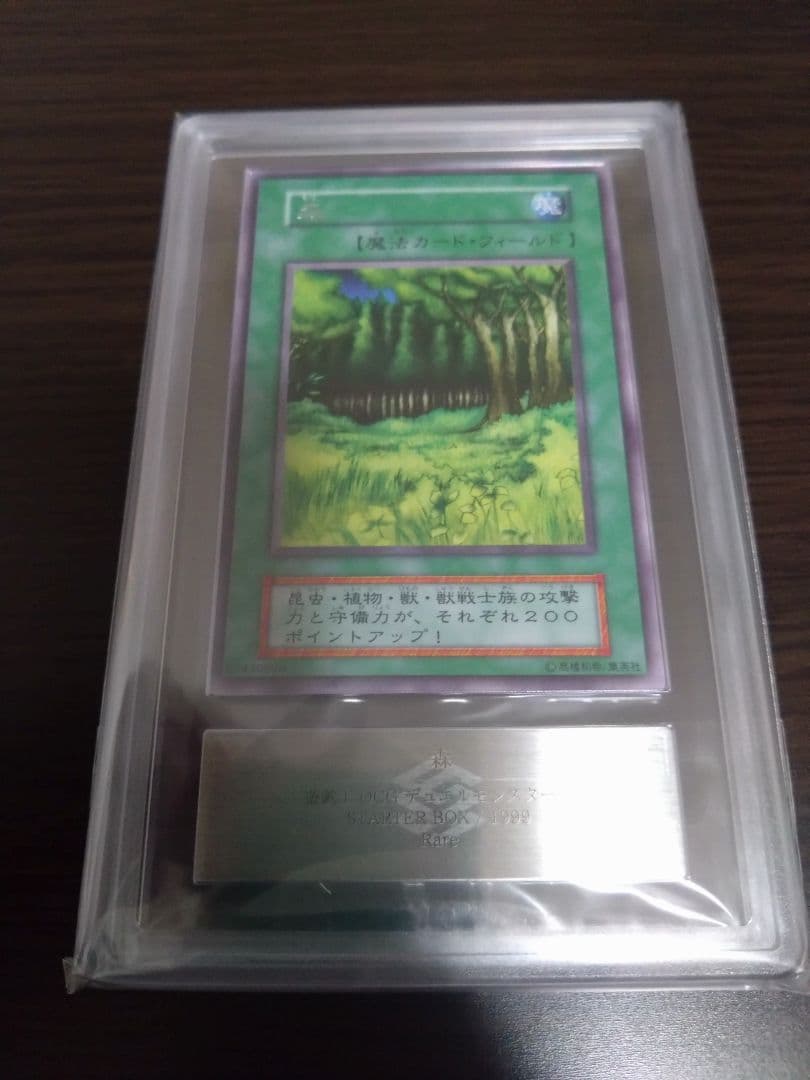 ARS10　山　森　海　闇　草原　荒野　初期　スターターボックス　遊戯王
