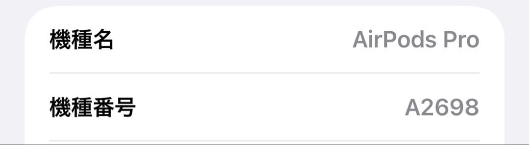 【美品】 Apple AirPods Pro２ (Lightning）